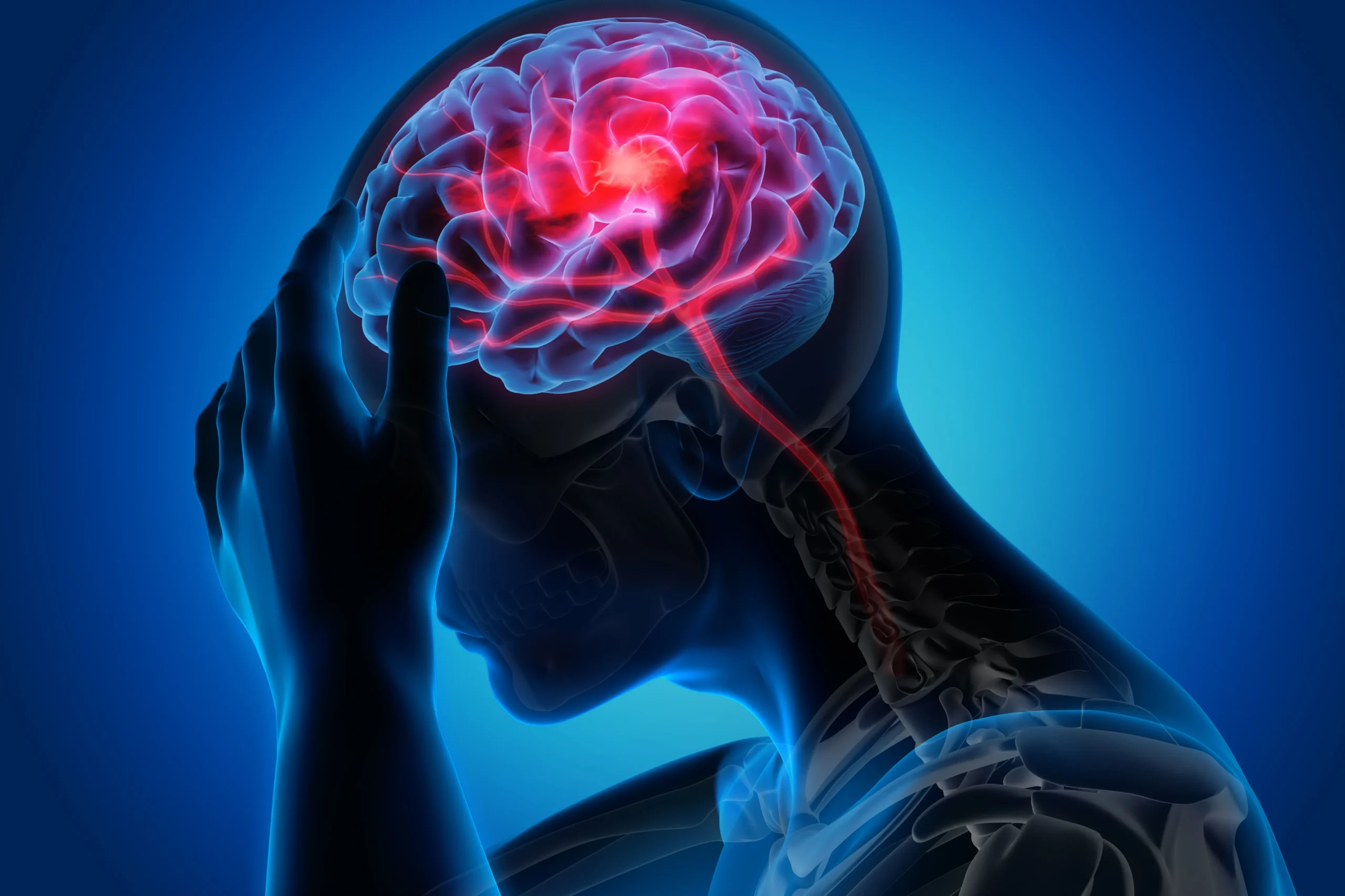 3D medical illustration of a human brain with a highlighted red area indicating pain or inflammation.